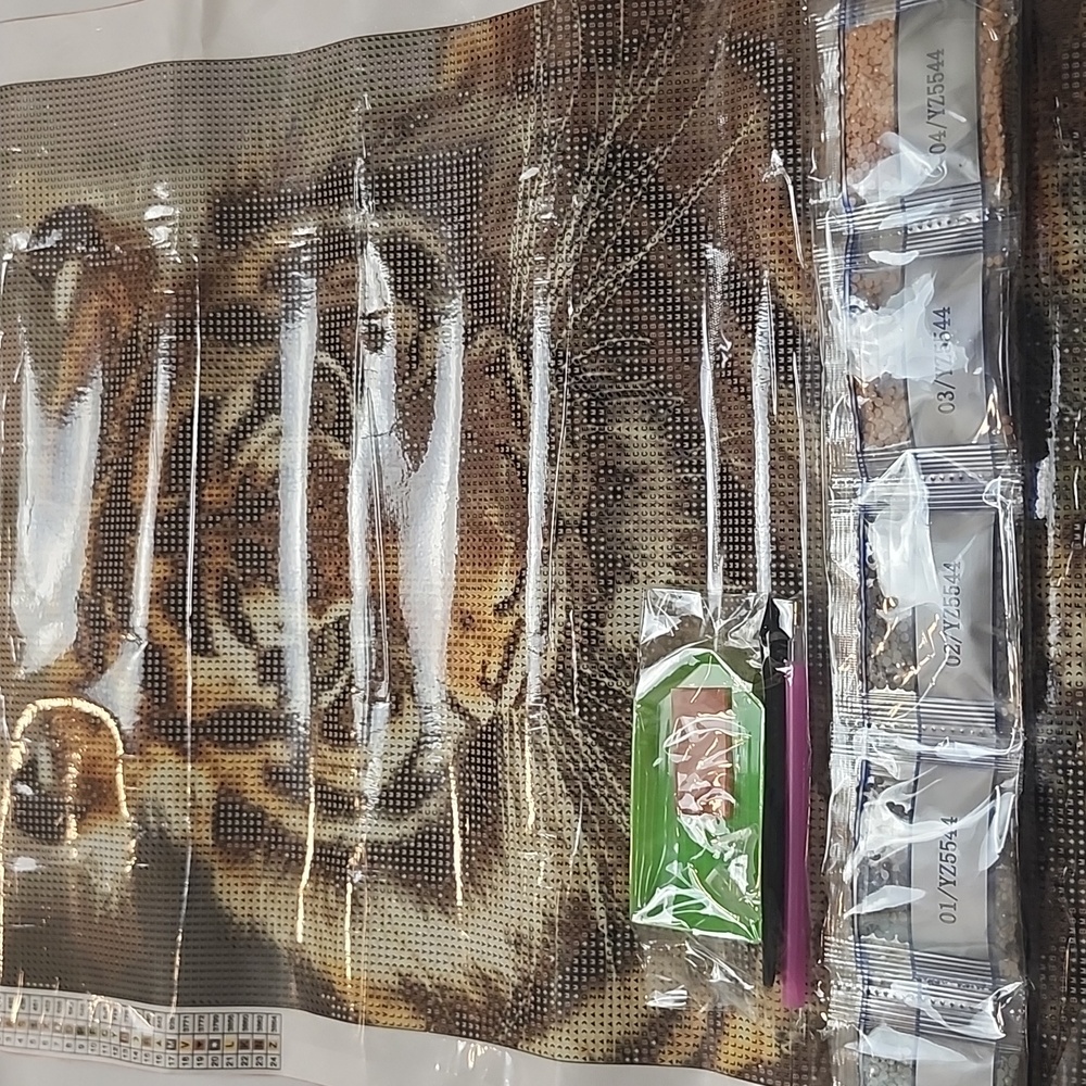 BN 2/$20 Tiger Diamond Art Kit - Picture 2 of 3
